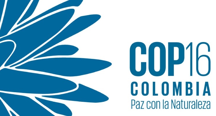 Sigue las actividades y eventos de la COP 16 Colombia: Paz con la Naturaleza
